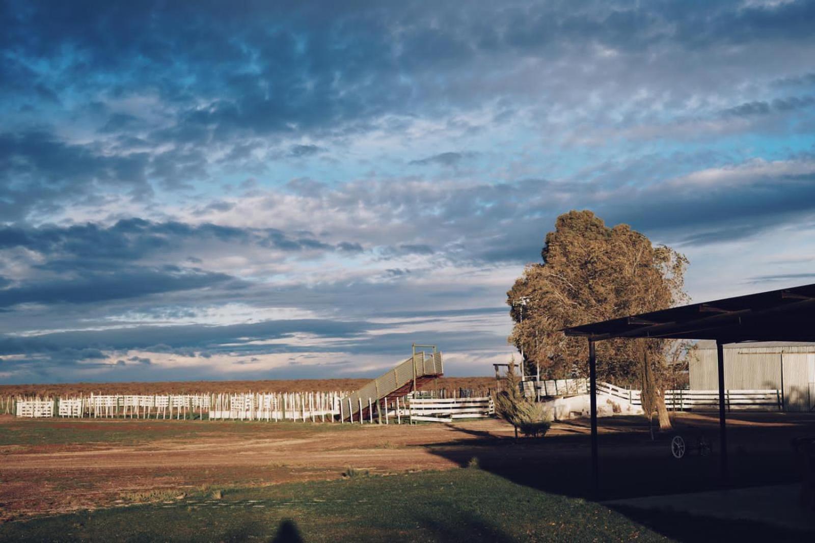 Estancia Tatay Trelew Exterior photo